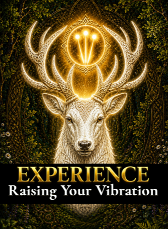 Experience Raising Your Vibration book cover by Jody Valentina, Experience Series